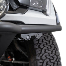 Photo - Close Up