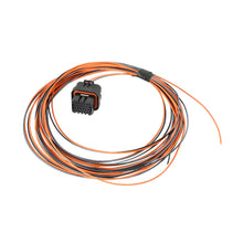 Holley Dominator EFI Auxiliary Harness.  - 558-404