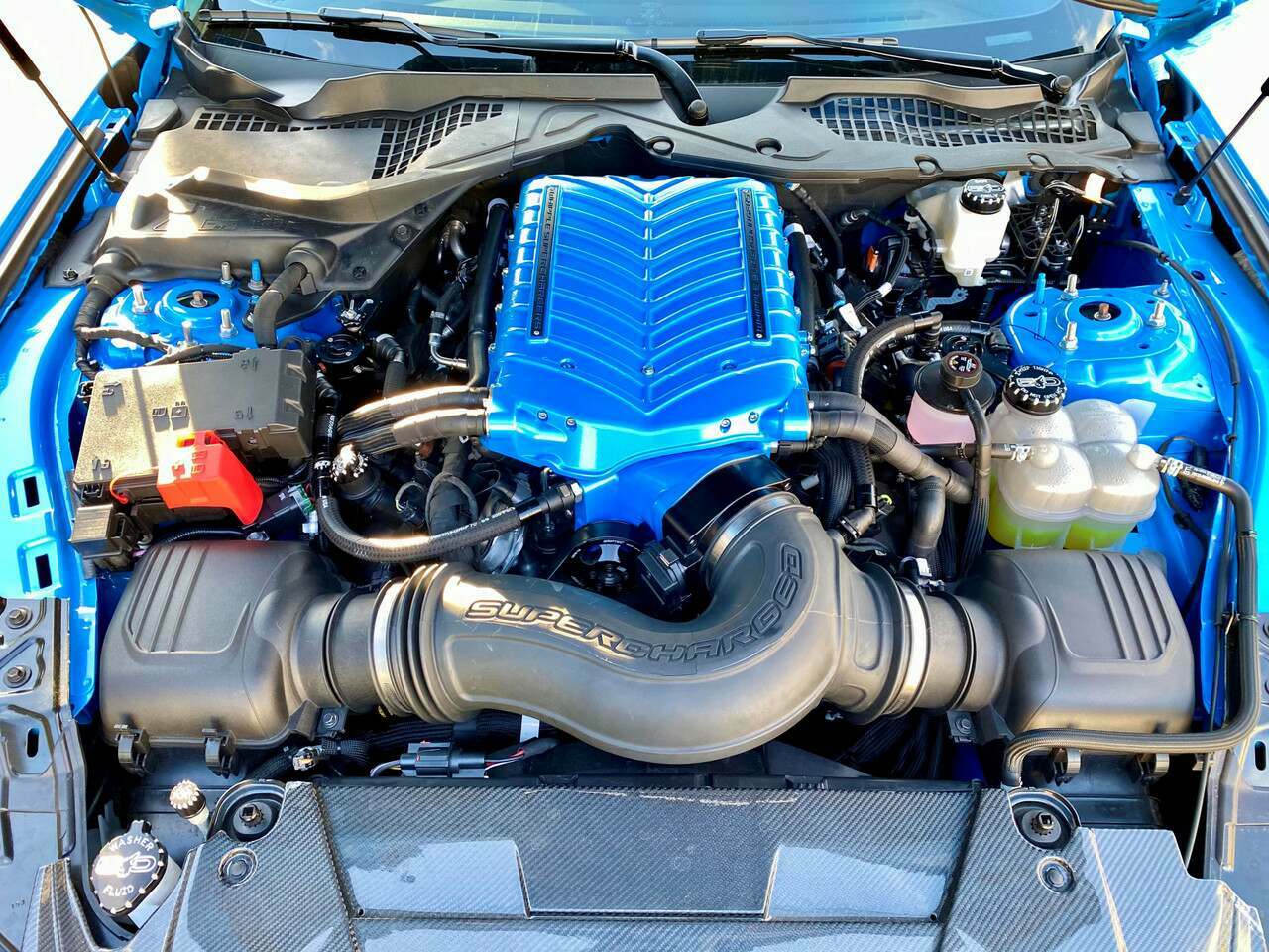 UPR Plug N Play Oil Clean Side Catch Can - Black (2024-2026 Mustang GT w/ Whipple Supercharger) - 5049-295-1-CSCC