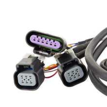 Holley Efi 558-411 Gm Dual Drive By Wire Harness