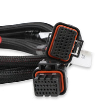 Holley Injector Driver Harness.  - 558-219
