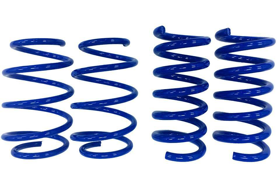 Steeda Lowering Springs (2017+ Fusion Sport) - 555-8308
