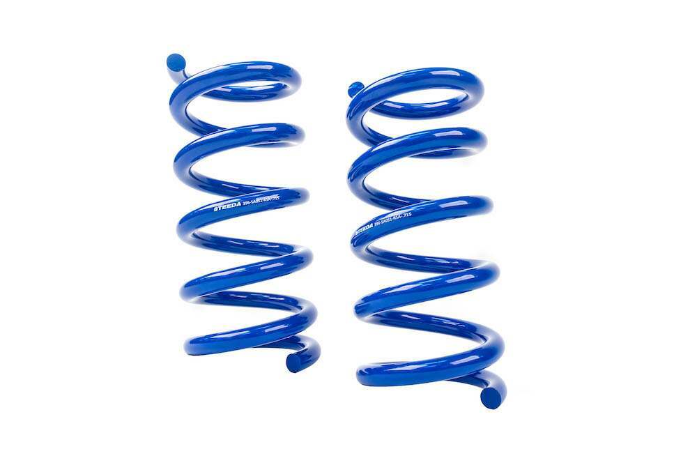 Steeda S550 Rear Drag Spring Kit (2015-2026 Mustangs) - 555-8232