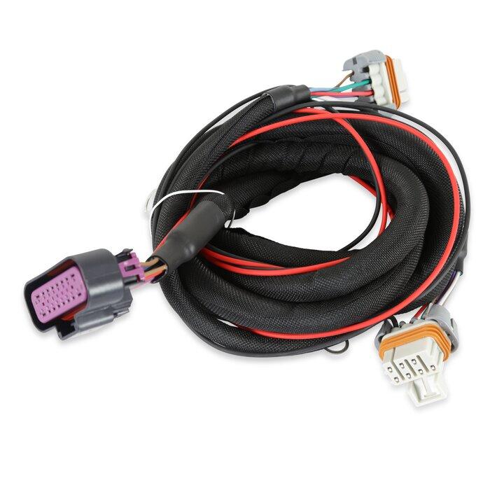 Circle Track LS Ignition Control.  - 6014CT