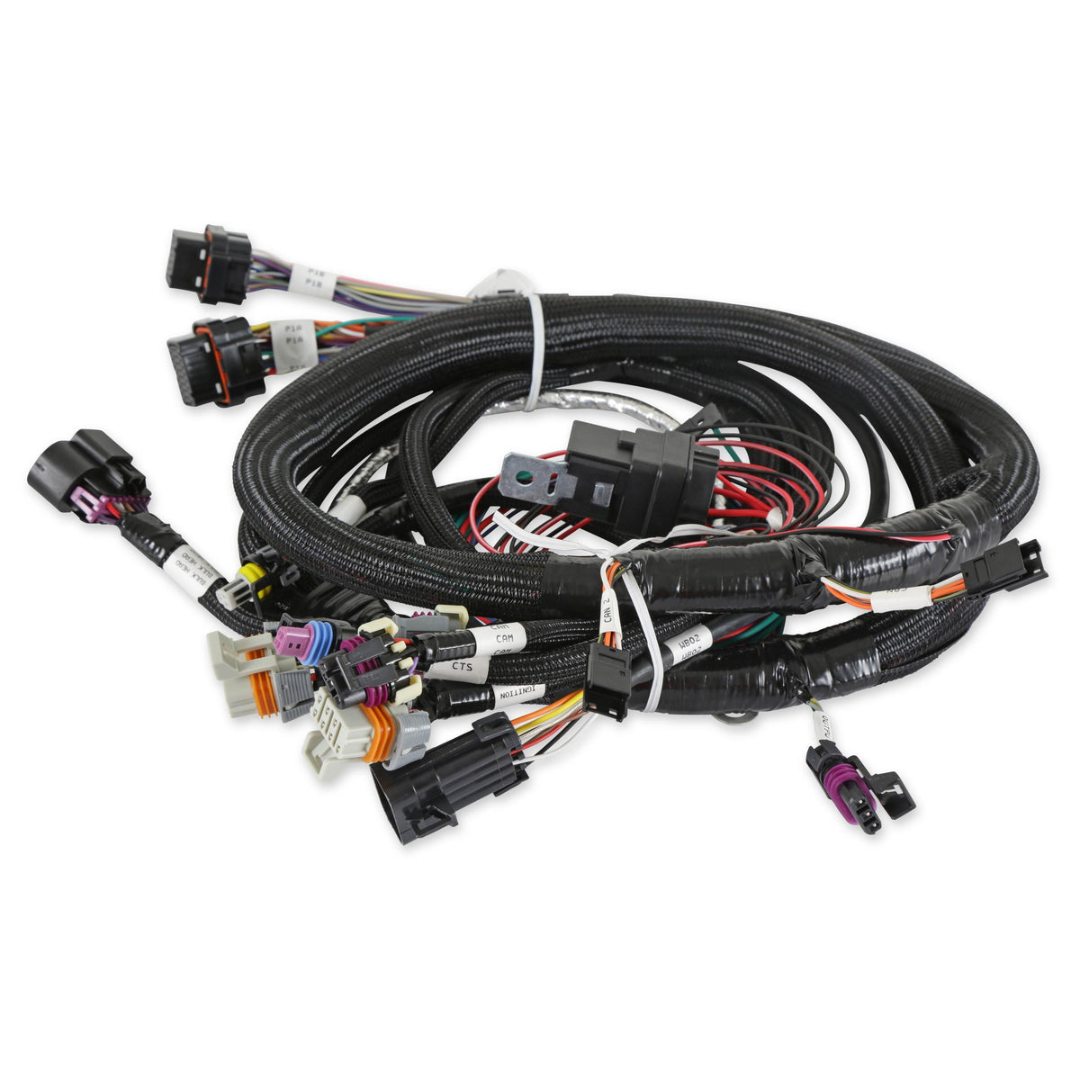 Holley TERMINATOR EFI MAIN WIRING HARNESS-TBI,LSX, 58x.  - 558-112