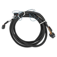 Holley 2018-2022 Ford DBW Harness - 558-469