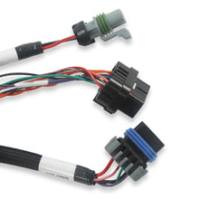 Holley Benchtop Wiring Harness - 558-127