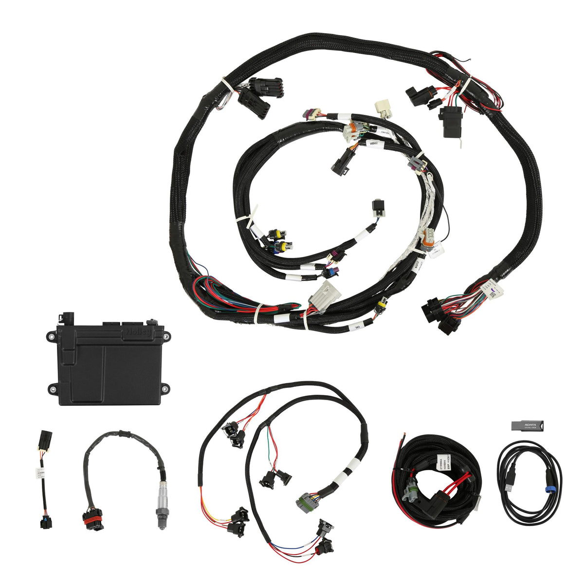 Holley HP EFI ECU &amp; Harness Kits.  - 550-607