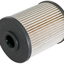 AFE Pro GUARD D2 Fuel Filter (1999-2010 Ram 2500, Ram 3500, F800, F650, F750) - 44-FF010