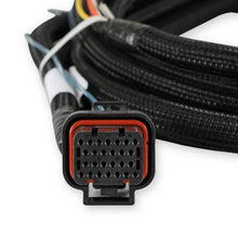 Holley 2018-2022 Ford DBW Harness - 558-469