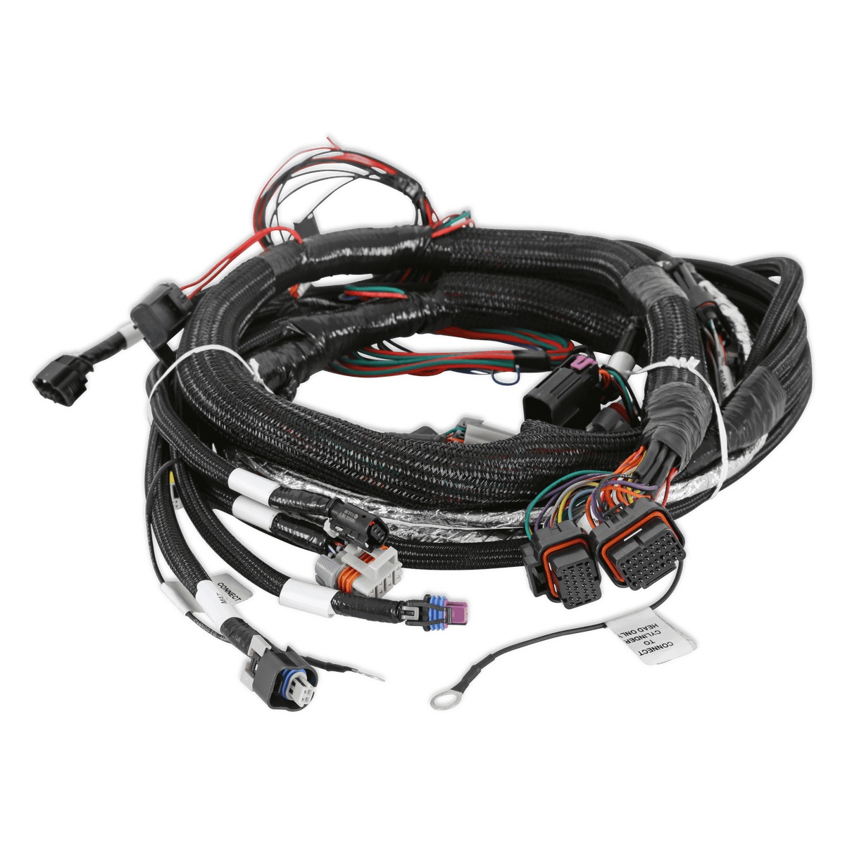 Holley Gen V LT Engine Main Harness - 558-129
