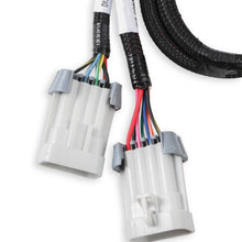 Holley LS Ignition Coil Harness - 558-326
