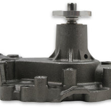 70132ng_02.jpg