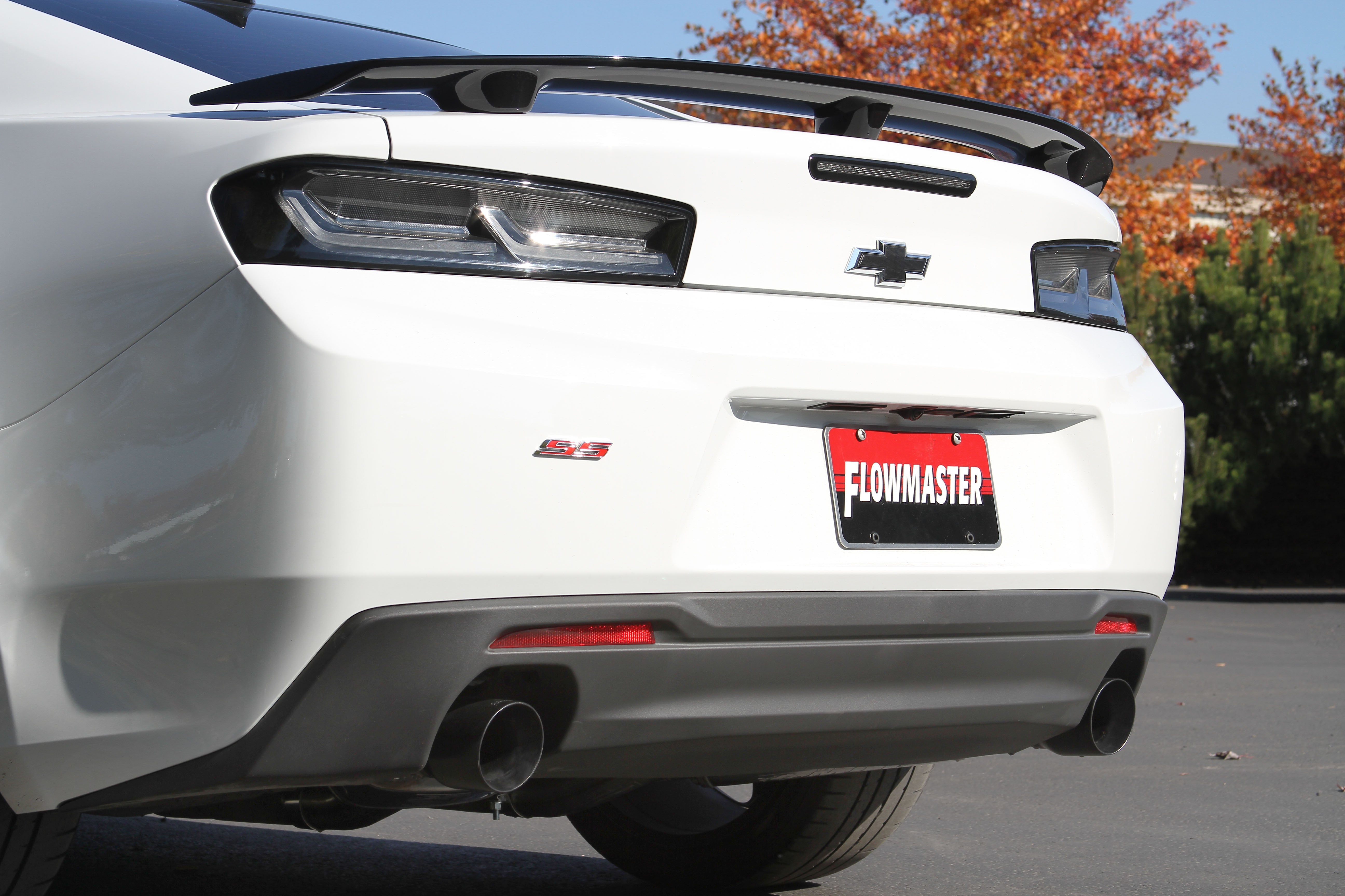 717828_0619197.jpg