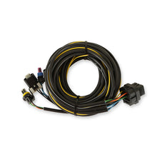 Holley Terminated Vehicle Harness for Digital Dash.  - 558-436