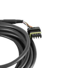 Holley CAN EXTENSION HARNESS, 8FT.  - 558-425