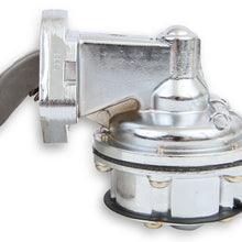 7703mrg_0519316.jpg