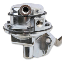 7719mrg_0219316.jpg