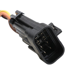 Holley Terminator Stealth 2x4 MAIN HARNESS.  - 558-121