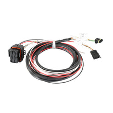 Holley Pro Dash Service Harness  - 558-446