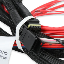 Holley Injector Driver Harness.  - 558-219