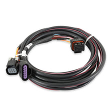 Holley Efi 558-406 Gm Dbw Harness