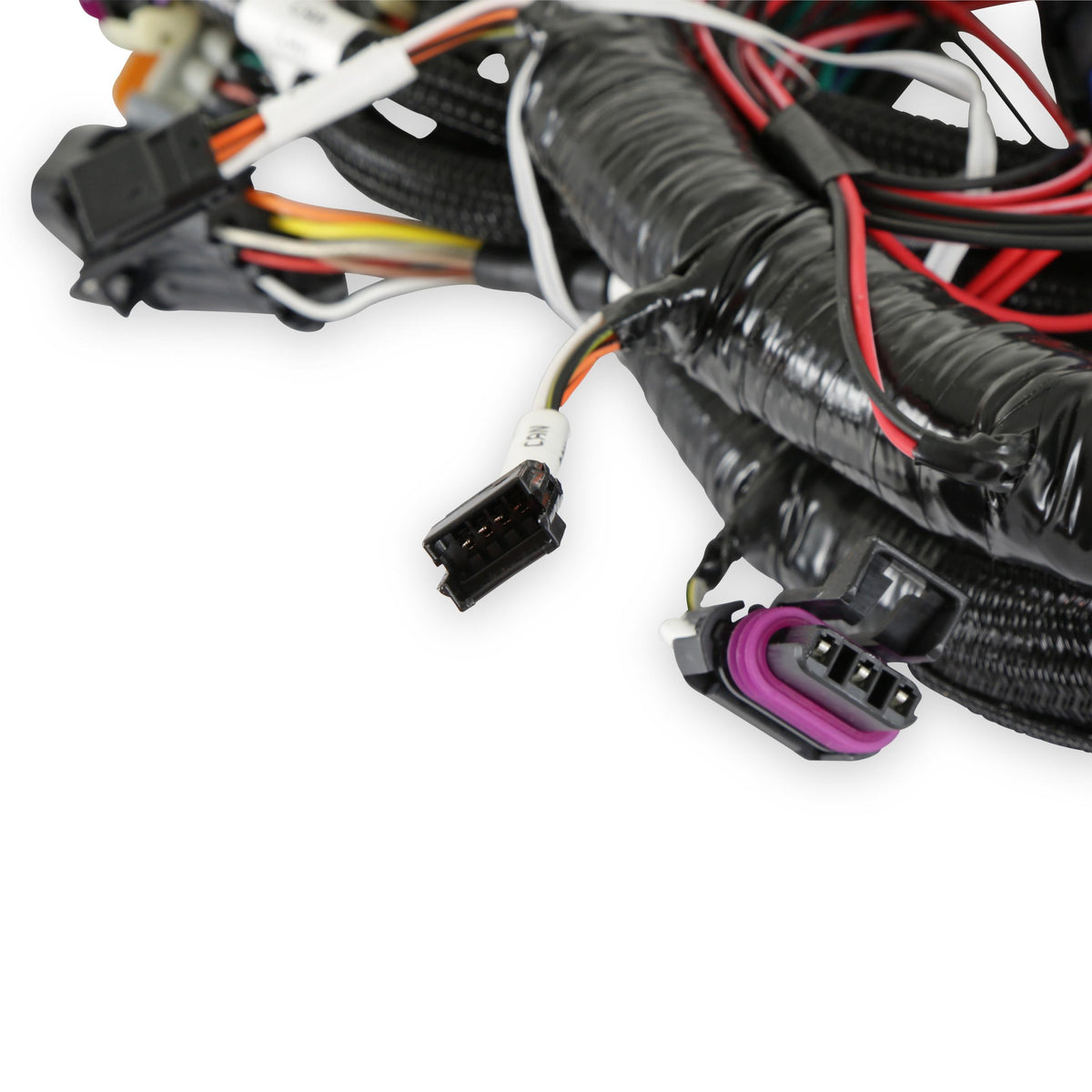 Holley TERMINATOR EFI MAIN WIRING HARNESS-TBI,LSX, 58x.  - 558-112