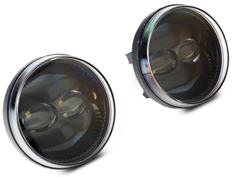 Photo - Close Up