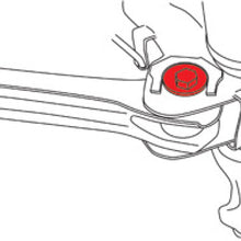 Line Art