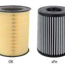 AFE Magnum FLOW OE Replacement Air Filter w/ Pro DRY S Media (2012-2020 Transit Connect, Escape, Escape, Escape, Focus, Focus, Focus, Focus, MKC, MKC) - 11-10133