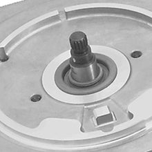 8381_v318155.jpg