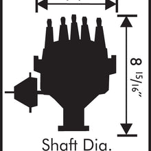 8478_dims19165.jpg