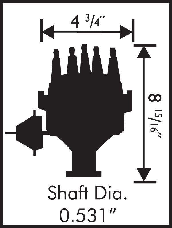 8478_dims19165.jpg