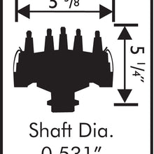 8569_dim.jpg