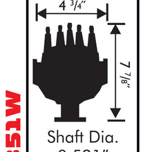 8578_dim.jpg