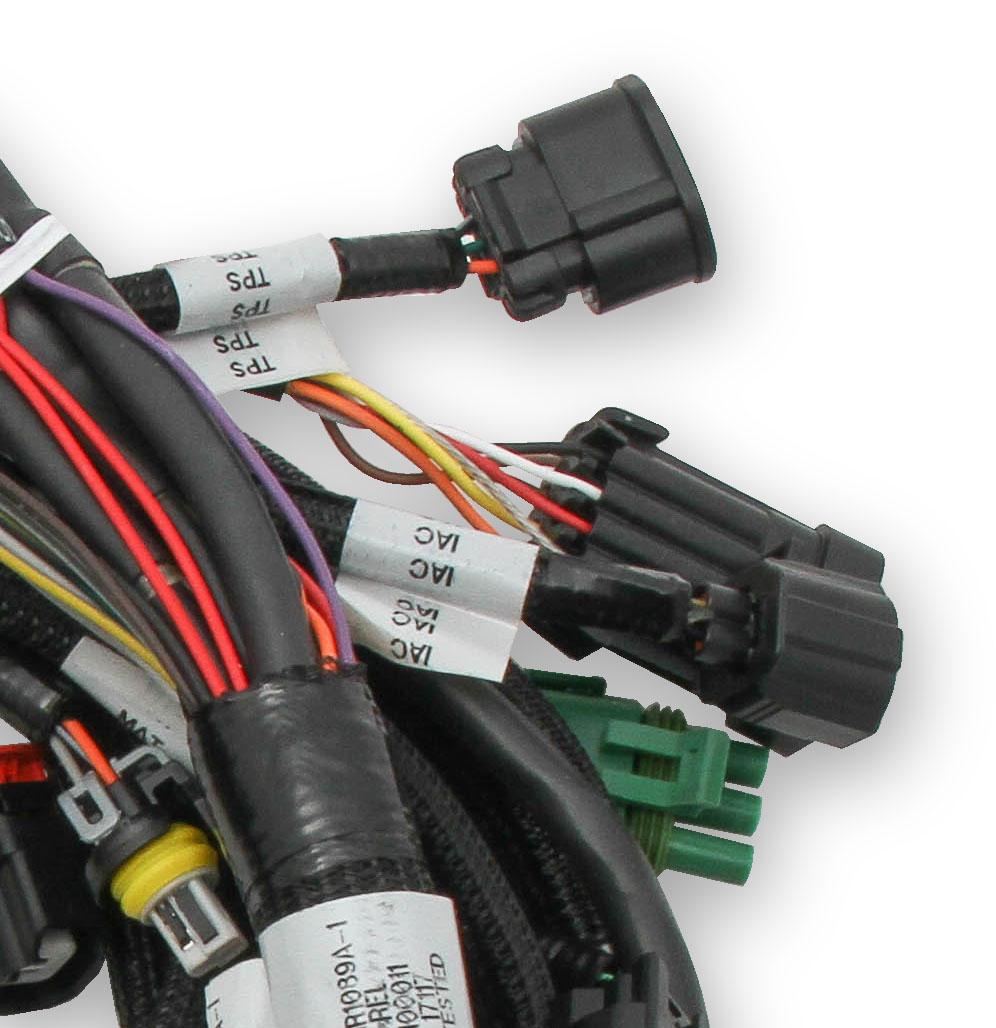 Holley Efi 558-110 Main Harness, Ford Coyote Ti-Vct