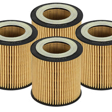 AFE Pro GUARD D2 Oil Filter (4 Pack) - 44-LF029-MB