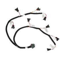 Holley Efi 558-213 Injector Harness, Ford, Jetronic, Evenly Spaced