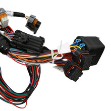 Holley Ford 7.3L Godzilla Main Harness for Stock Coils - 558-140