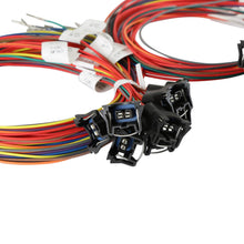 Holley Unterminated 16 injectors MPFI harness.  - 558-207