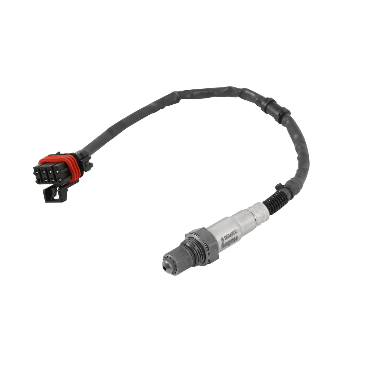 Holley HP EFI ECU &amp; Harness Kits.  - 550-607