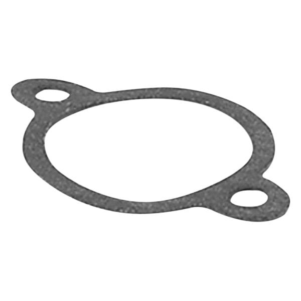Moroso Gasket, Flat, Replacement - 97322