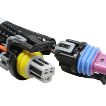 Holley Terminator Stealth 2x4 MAIN HARNESS.  - 558-121