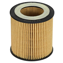 AFE Pro GUARD D2 Oil Filter (4 Pack) - 44-LF029-MB