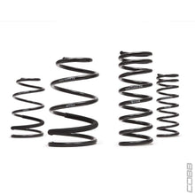 Cobb 2013 Ford Focus ST sport Springs
