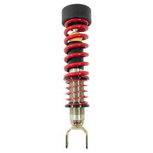 Belltech Independent Compression & Rebound Adjustable, -1" to -3" Height Adjustable Drop - 16005