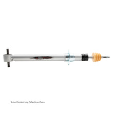 Belltech TRAIL PERFORMANCE (FRONT, LIFTED) - 27004
