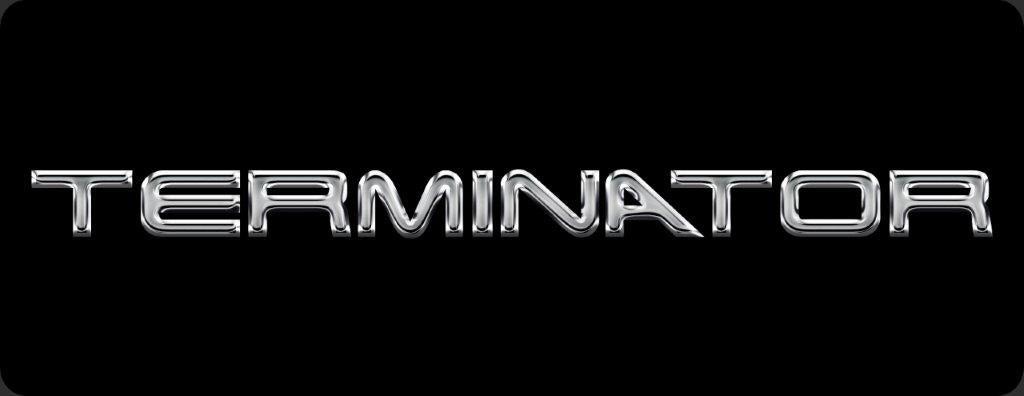 Anchor Room 4V Coil Cover Plate - Terminator S2 (2003-2004 Cobra) - 03FC_PP4VTRMS2
