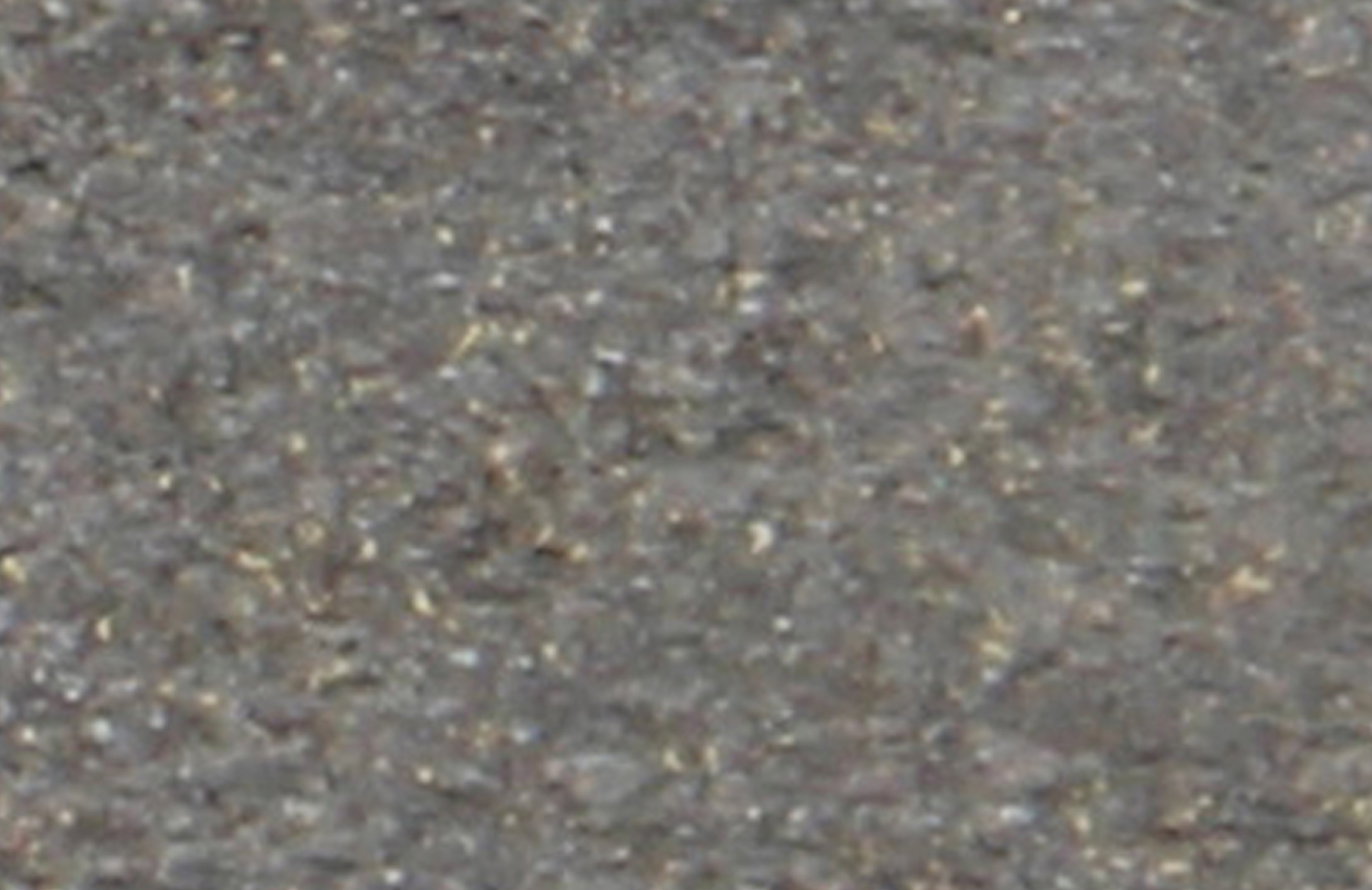 D250-0392_3.jpg