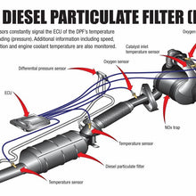 DPF A3.jpg